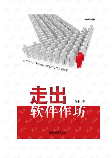 走出软件作坊 阿朱