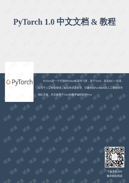 pytorch1.0中文文档 教程.pdf资源 csdn文库