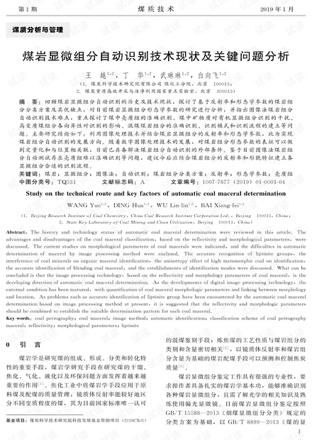 煤岩显微组分自动识别技术现状及关键问题分析