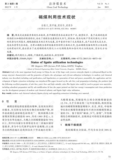 褐煤利用技术现状