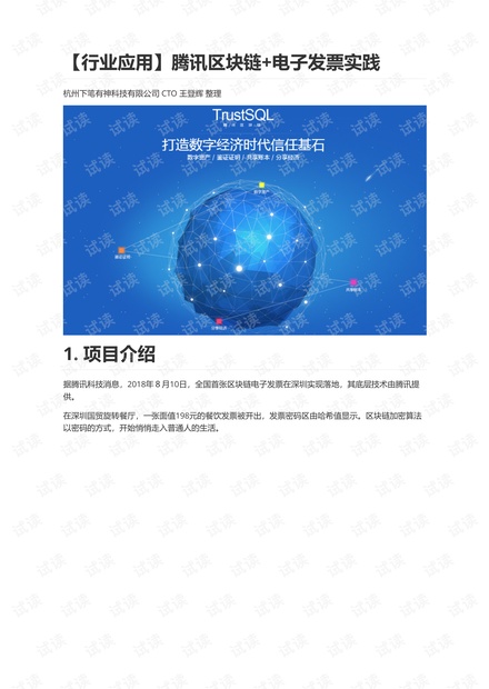 区块链+电子发票解决方案.pdf