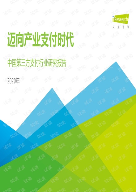2020年中国第三方支付行业研究报告.pdf