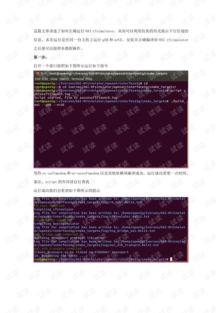 正确运行OAI rfsimulator.pdf