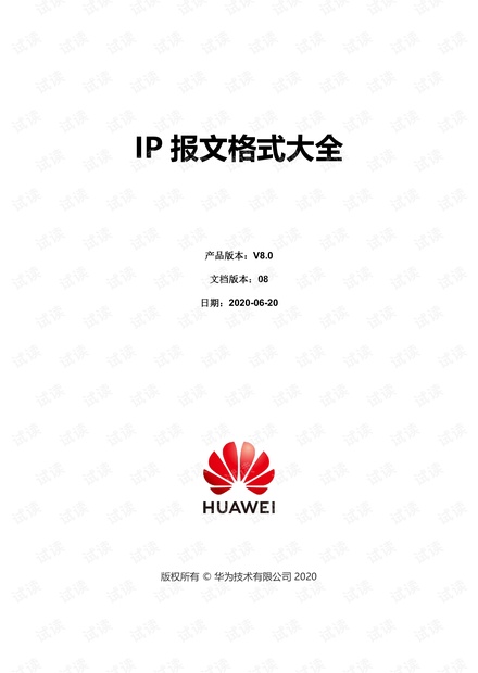IP 报文格式大全 V8.0_08.pdf