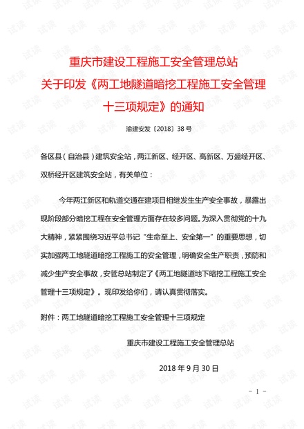 两工地隧道暗挖工程施工安全管理.pdf