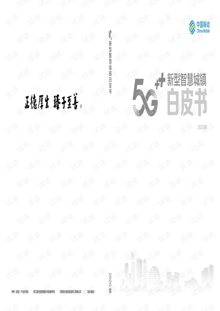 5G新型智慧城镇白皮书2020年.pdf