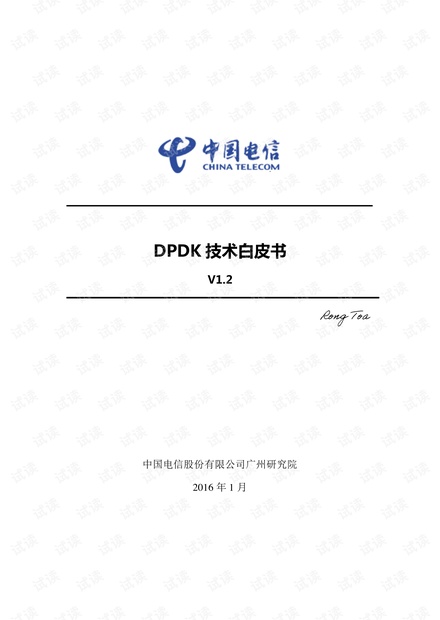 中国电信DPDK技术白皮书.pdf