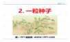 1一粒种子——学生学习课件