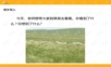 1敕勒歌——学习ppt课件