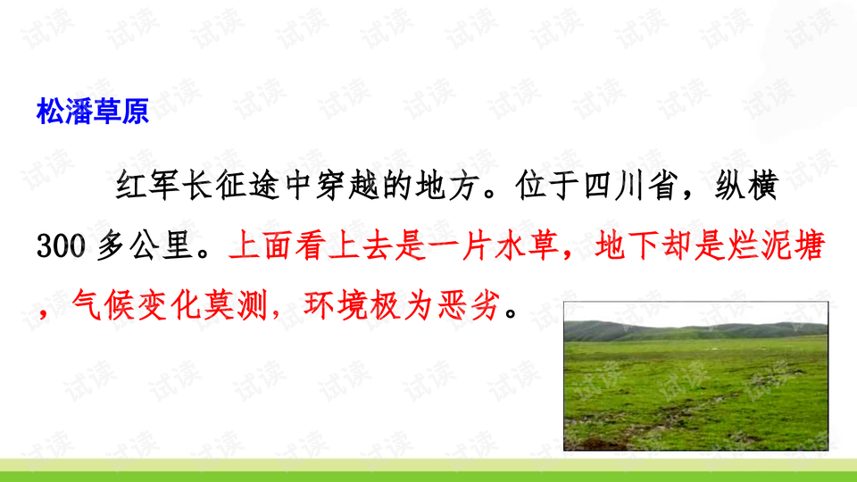 0005-71c4c6f14fa16464bc6812bf98f0a8b2_preview-wide.png