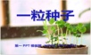 2015语文A版语文二下《一粒种子》ppt课件