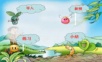 2015语文A版语文二下《一粒种子》ppt课件