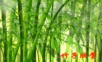 2015语文A版语文四上《斑竹姑娘》ppt课件1