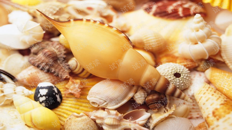 0005-eb65b2b189273c95aa72f993a8e4794c_preview-wide.png