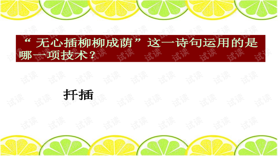 0002-5eb2aeea500b1517b56a1fbde8c51a04_preview-wide.png