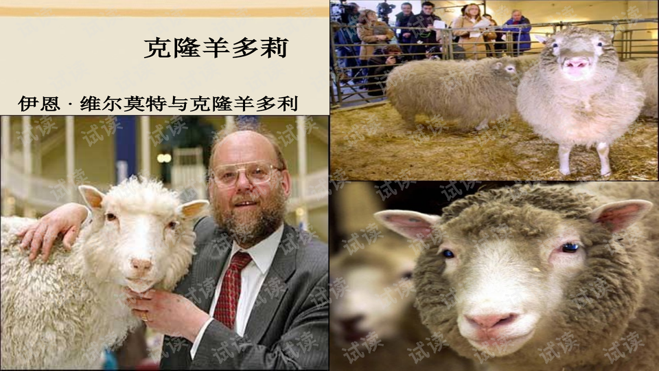 4《科学发展话克隆》ppt课件