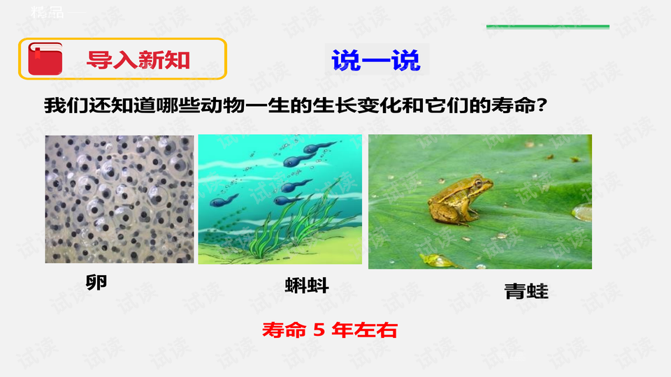 0003-c762111990df91084813e353a5864160_preview-wide.png