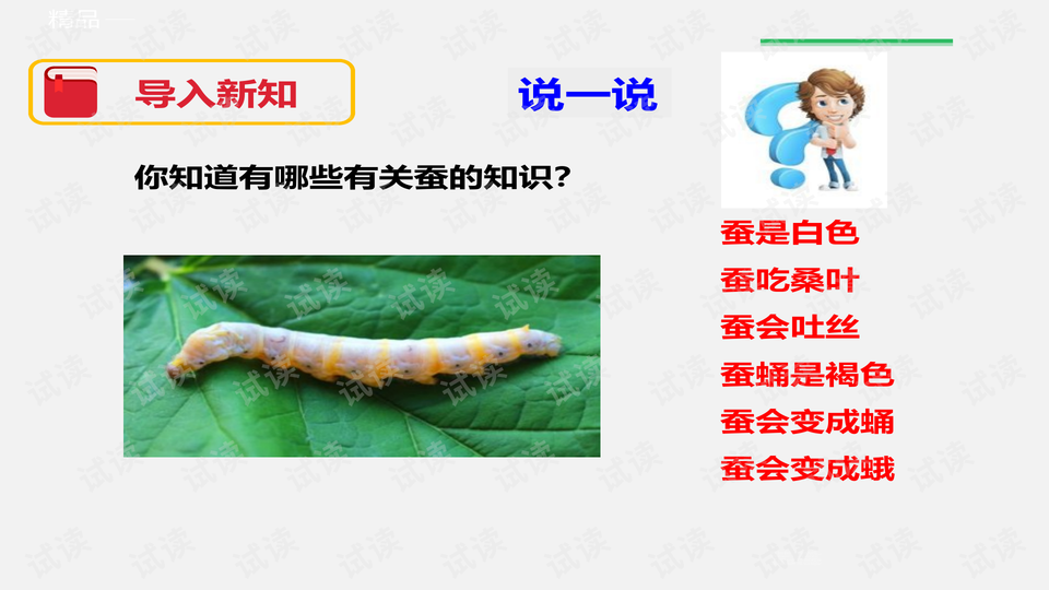 0005-65c9284458569958d47b5df8f640b9af_preview-wide.png