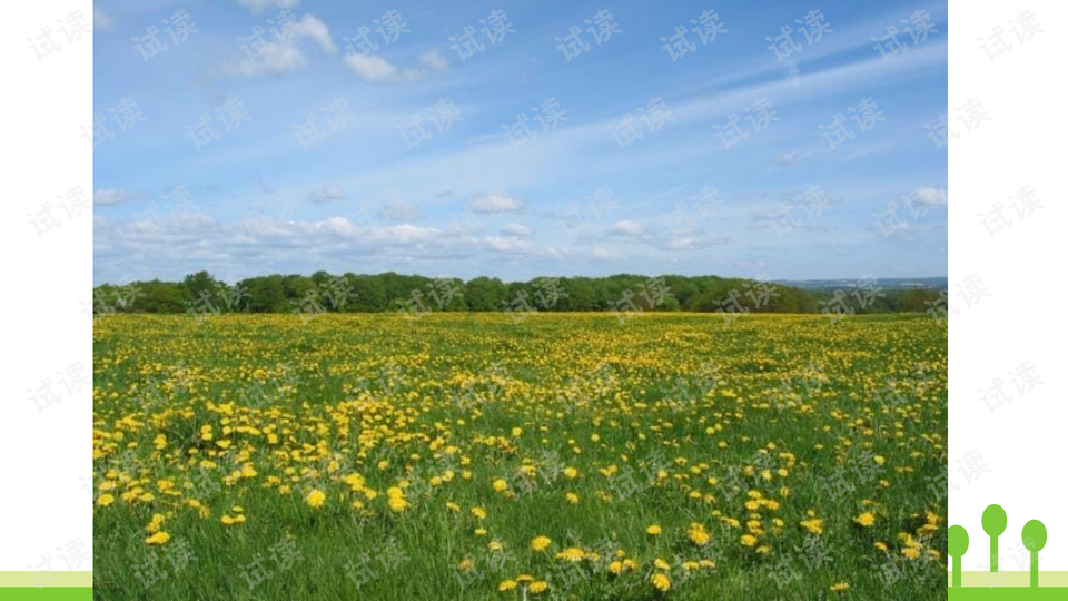 0007-1b302061cb2c7d99fd181a73acc6e123_preview-wide.png