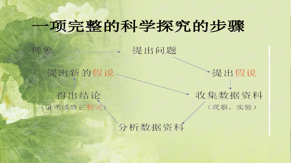 0002-3c8a493d7445c4e957acc72fd6a23dab_preview-wide.png