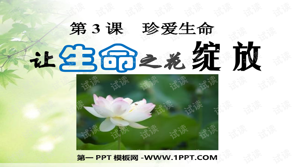 0001-c735bf3d610ee12c1aee381749678679_preview-wide.png