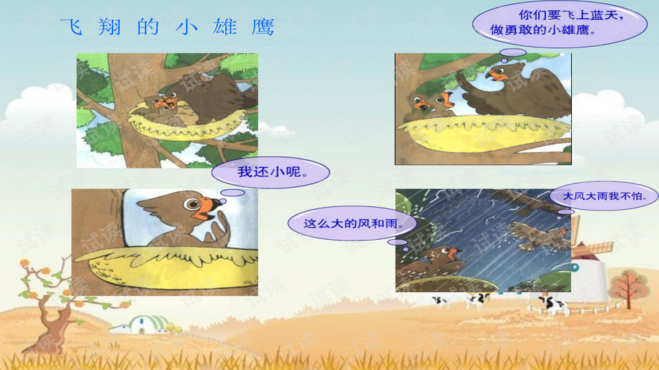 0003-ec7913878e6ee603da95b2ea1071d415_preview-wide.png
