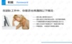 团队的建设和管理.pptx