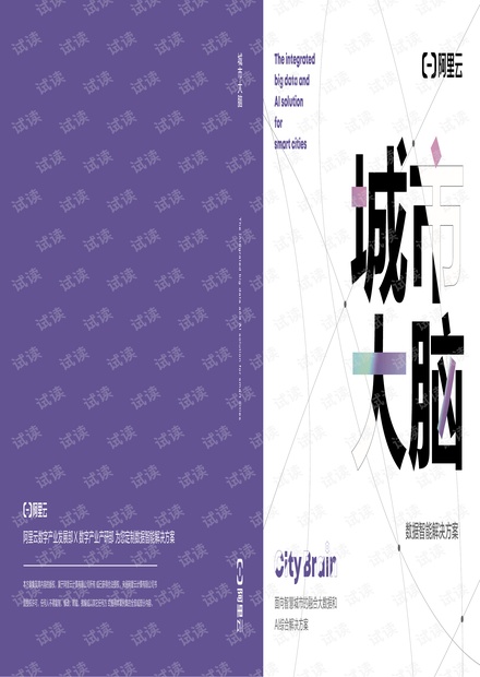城市大脑数据智能解决方案.pdf