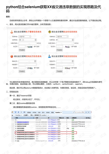 python结合selenium获取XX省交通违章数据的实现思路及代码