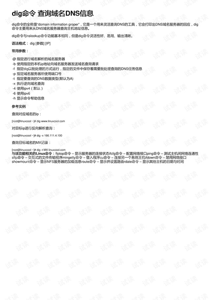 dig命令 查询域名DNS信息