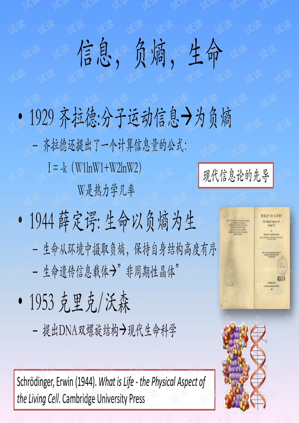 0003-8967da35b3dddd117edec1b627fc9625_preview.png
