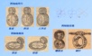 第四章蜗杆传动设计_机械设计.ppt
