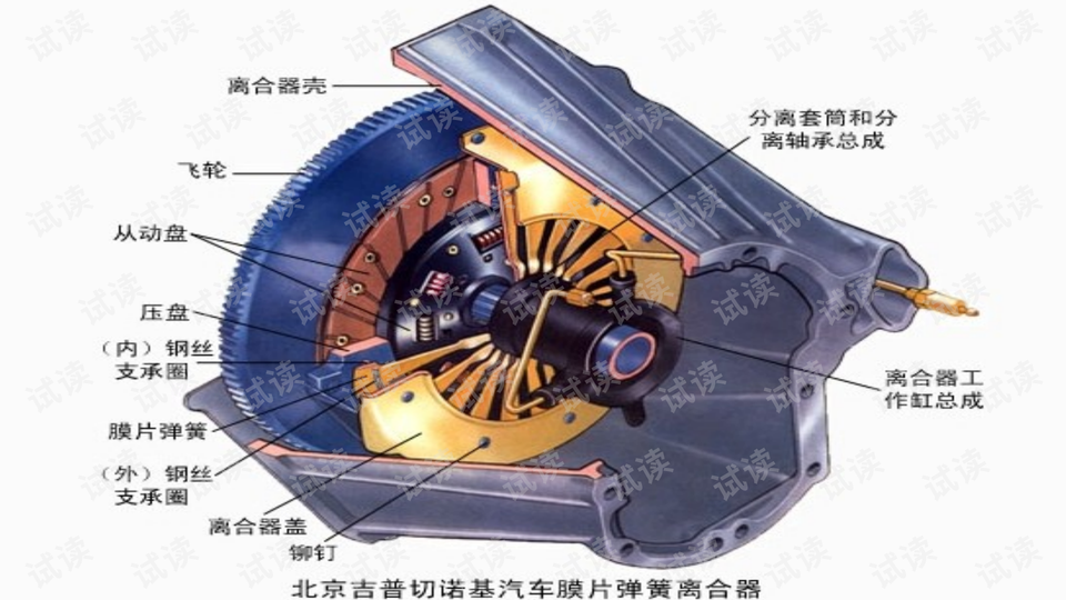 0019-8e21a86d0c403cc68e83fdff45e8c96a_preview-wide.png