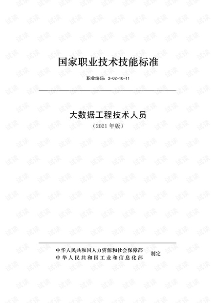 大数据工程技术人员.pdf