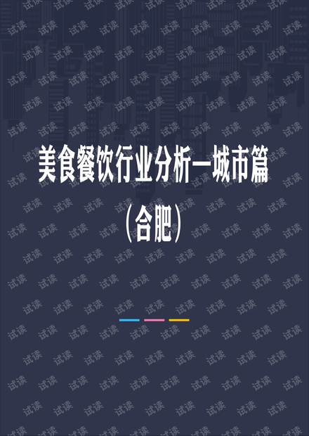 合肥美食餐饮行业分析.pdf