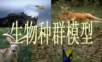 数学建模-生物种群模型