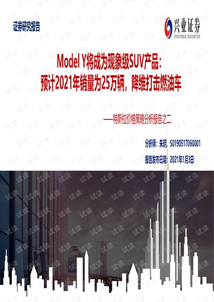 特斯拉价格分析策略报告.pdf