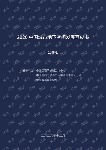 2020中国城市地下空间发展蓝皮书.pdf