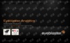 广告数据分析公司eyeblaster的PPT案例.ppt