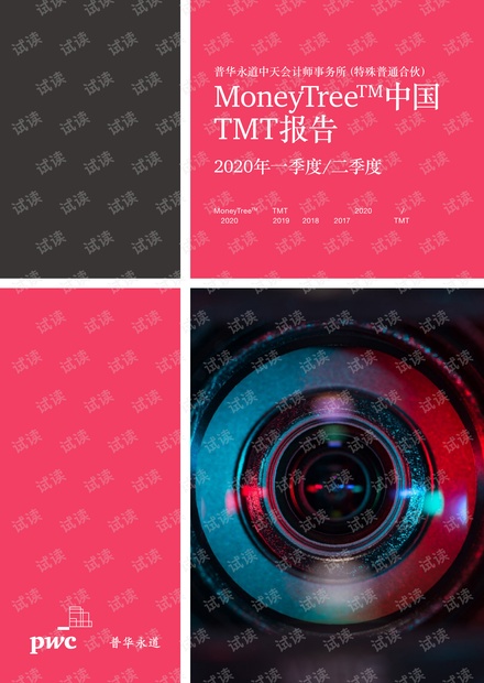 MoneyTreeTM中国TMT报告 2021年一季度二季度.pdf
