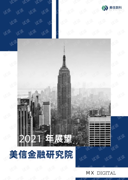 2021年全球投资展望报告-美信金融研究院.pdf