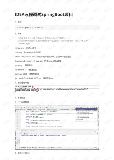 IDEA远程调试SpringBoot项目.pdf