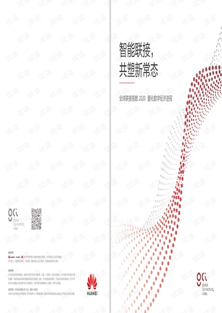 全球联接指数 2020-.pdf