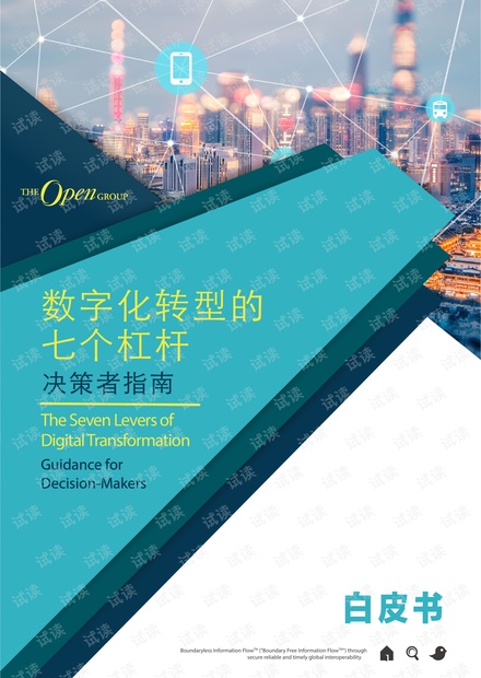 数字化转型的七个杠杆(终极版).pdf