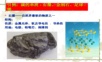 1金属的晶体结构-1.ppt