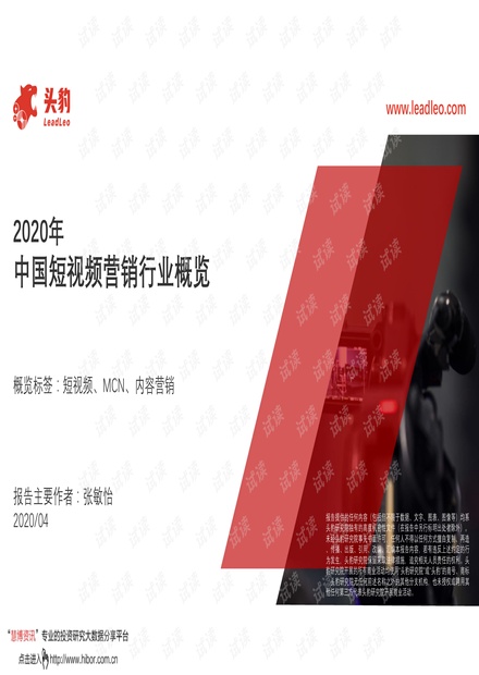 2020年中国短视频营销行业概览.pdf