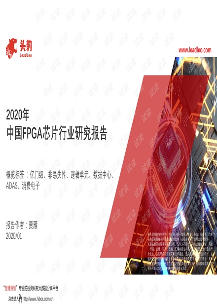 2020年中国FPGA芯片行业研究报告.pdf