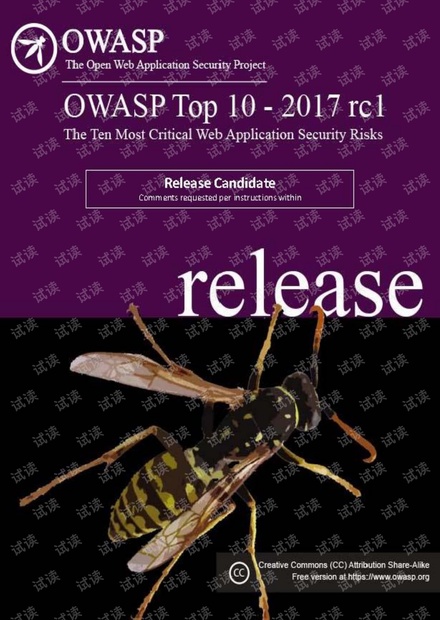 OWASP Top 10 2017.pdf
