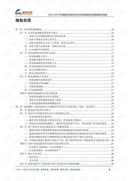 2020-2025年中国新型导电剂行业市场深度调研及发展战略研究报告.pdf