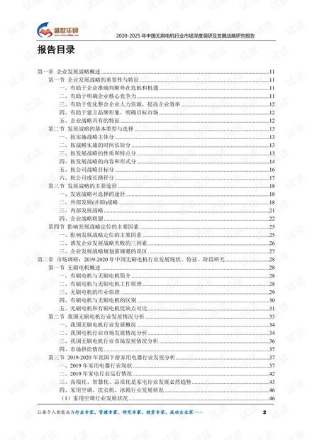 2020-2025年中国无刷电机行业市场深度调研及发展战略研究报告.pdf